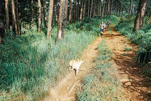 BIB: 
                            <button type="button" onclick="openModal(25653639)" class="btn btn-primary btn-sm float-right btn-popup" data-toggle="modal" data-target=".modal-high-quality">
                        <i class="fas fa-shopping-cart"></i> Add to Cart
                    </button>
                                            <button type="button" onclick="isThisMe(25653639, true)" class="btn btn-success btn-sm float-right btn-popup btn-isme hidden" data-toggle="tooltip" data-placement="bottom" title="นี่คือรูปของคุณใช่ไหม คลิกที่นี่เพื่อเอาเข้าอัลบั้ม">
                        <i class="fas fa-plus"></i> Add to album
                    </button>
                    <button type="button" onclick="isThisMe(25653639, false)" class="btn btn-warning btn-sm float-right btn-popup btn-isnotme hidden">
                        <i class="fas fa-ban"></i> Remove from album
                    </button>